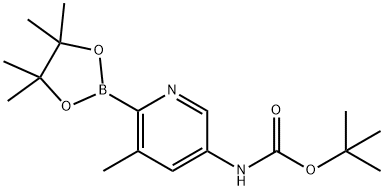 Boc-5-AMino-3-Methylpyridine-2-boronic acid pinacol ester Structure