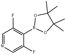 3,5-二氟吡啶-4-硼酸频哪醇酯,1310404-59-1,结构式