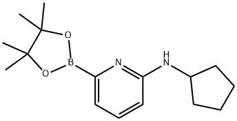 N-シクロペンチル-6-(4,4,5,5-テトラメチル-1,3,2-ジオキサボロラン-2-イル)ピリジン-2-アミン price.