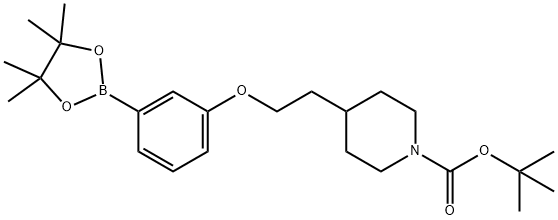 tert-Butyl 4-{2-[3-(4,4,5,5-tetramethyl[1,3,2]dioxaborolan-2-yl)phenoxy]ethyl}piperidine-1-carboxylate Struktur