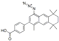 4-(4-azido-5,6,7,8-tetrahydro-1,5,5,8,8-pentamethyl-2-anthracenyl)benzoic acid Structure