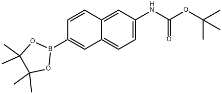 tert-butyl 6-(4,4,5,5-tetraMethyl-1,3,2-dioxaborolan-2-yl)naphthalen-2-ylcarbaMate