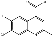 7-Chloro-6-fluoro-2-Methyl-quinoline-4-carboxylic acid|7-氯-6-氟-2-甲基喹啉-4-羧酸