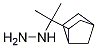 (2-(bicyclo[2.2.1]heptan-2-yl)propan-2-yl)hydrazine Structure