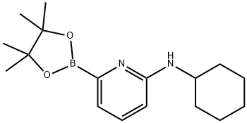 N-シクロヘキシル-6-(4,4,5,5-テトラメチル-1,3,2-ジオキサボロラン-2-イル)ピリジン-2-アミン 化学構造式