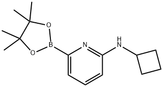 6-(CYCLOBUTYLAMINO)피리딘-2-붕소산피나콜에스테르