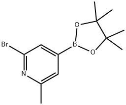 2-Bromo-6-methyl-4-(4,4,5,5-tetramethyl-1,3,2-dioxaborolan-2-yl)pyridine Struktur