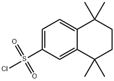 5,5,8,8-TETRAMETHYL-5,6,7,8-TETRAHYDRO-2-NAPHTHALENESULFONYL CHLORIDE