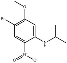 4-溴-N-异丙基-5-甲氧基-2-硝基苯胺,1330750-43-0,结构式