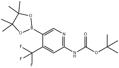 tert-butyl 5-(4,4,5,5-tetramethyl-1,3,2-dioxaborolan-2-yl)
-4-(trifluoromethyl)pyridin-2-ylcarbamate|(5-(4,4,5,5-四甲基-1,3,2-二氧杂硼烷-2-基)-4-(三氟甲基)吡啶-2-基)氨基甲酸叔丁酯