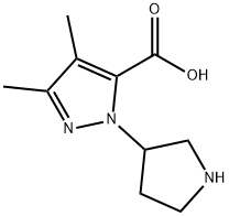 1-(pyrrolidin-3-yl)-3,4-diMethyl-1H-pyrazol-5-carboxylic acid Struktur