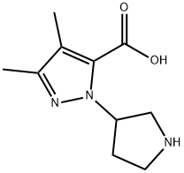 3,4-二甲基-1-(3-吡咯烷基)-1H-吡唑-5-甲酸, 1338247-79-2, 结构式