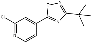4-(3-tert-Butyl-1,2,4-oxadiazol-5-yl)-2-chloropyridine Struktur