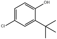 2-tert-부틸-4-클로로페놀