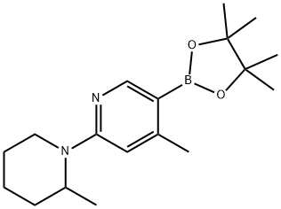 4-Methyl-2-(2-Methylpiperidin-1-yl)-5-(4,4,5,5-tetraMethyl-1,3,2-dioxaborolan-2-yl)pyridine Struktur