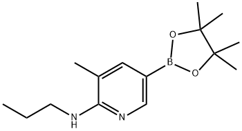 3-Methyl-N-propyl-5-(4,4,5,5-tetraMethyl-1,3,2-dioxaborolan-2-yl)pyridin-2-aMine Structure