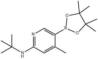 N-tert-butyl-4-Methyl-5-(4,4,5,5-tetraMethyl-1,3,2-dioxaborolan-2-yl)pyridin-2-aMine Struktur