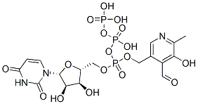 135145-98-1 uridine triphosphopyridoxal