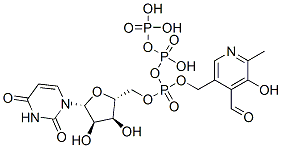 uridine triphosphopyridoxal|