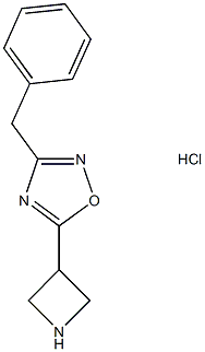 5-AZETIDIN-3-YL-3-BENZYL-1,2,4-OXADIAZOLE HYDROCHLORIDE 结构式