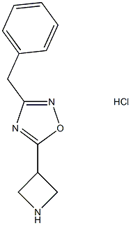 5-AZETIDIN-3-YL-3-BENZYL-1,2,4-OXADIAZOLE HYDROCHLORIDE,1351620-40-0,结构式