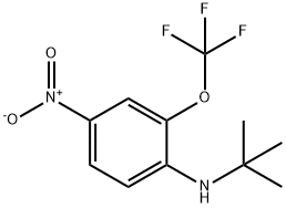 N-叔丁基-4-硝基-2-(三氟甲氧基)苯胺, 1352318-51-4, 结构式