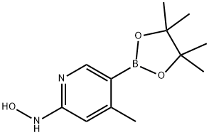 N-(4-Methyl-5-(4,4,5,5-tetraMethyl-1,3,2-dioxaborolan-2-yl)pyridin-2-yl)hydroxylaMine 化学構造式