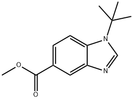 Methyl 1-tert-butylbenzoiMidazole-5-carboxylate 结构式