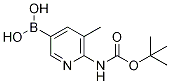 2-tert-부틸옥시카르보닐라Mino-3-Methylpyridine-5-boronicacid