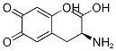 6-Hydroxydopaquinone Structure