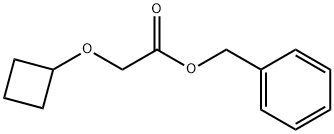 2-シクロブトキシ酢酸ベンジル 化学構造式