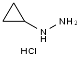 1-cyclopropylhydrazine dihydrochloride|环丙基肼双盐