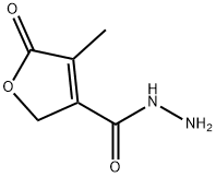 3-Furancarboxylicacid,2,5-dihydro-4-methyl-5-oxo-,hydrazide(9CI) Struktur