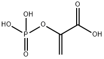2-(ジヒドロキシホスフィニルオキシ)アクリル酸 化学構造式