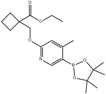 ethyl 1-(((4-Methyl-5-(4,4,5,5-tetraMethyl-1,3,2-dioxaborolan-2-yl)pyridin-2-yl)oxy)Methyl)cyclobutanecarboxylate 化学構造式