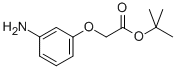 TERT-BUTYL 3-AMINOPHENOXYACETATE 化学構造式