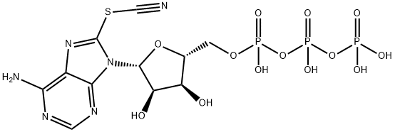 139041-17-1 8-thiocyano-adenosine triphosphate