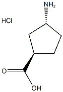TRANS-3-アミノシクロペンタン-1-カルボン酸塩酸塩 化学構造式