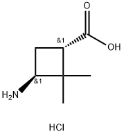 trans-3-Amino-2,2-dimethylcyclobutane-carboxylic acid hydrochloride, 1392803-36-9, 结构式