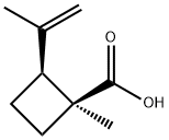 Cyclobutanecarboxylic acid, 1-methyl-2-(1-methylethenyl)-, (1S-cis)- (9CI),139561-18-5,结构式