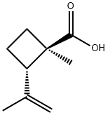 Cyclobutanecarboxylic acid, 1-methyl-2-(1-methylethenyl)-, (1R-trans)- (9CI) Structure