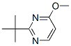 2-叔丁基-4-甲氧基嘧啶 结构式