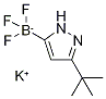 (3-(TERT-ブチル)-1H-ピラゾール-5-イル)トリフルオロほう酸カリウム 化学構造式
