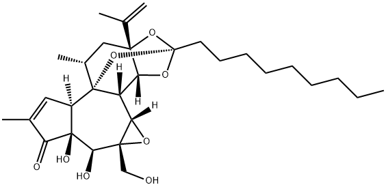 1404-62-2 Structure