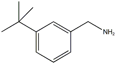 1-(3-叔丁基苯基)甲胺, 140401-55-4, 结构式