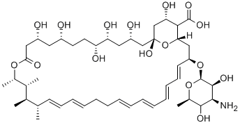 28,29-ジヒドロアンホテリシンB 化学構造式