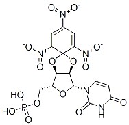2',3'-O-(2,4,6--trinitrocyclohexadienylidene)uridine 5'-monophosphate Structure