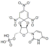 2',3'-O-(2,4,6--trinitrocyclohexadienylidene)uridine 5'-monophosphate 化学構造式