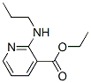 3-Pyridinecarboxylicacid,2-(propylamino)-,ethylester(9CI)|