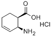 CIS-2-AMINO-CYCLOHEX-3-ENECARBOXYLIC ACID HYDROCHLORIDE Struktur